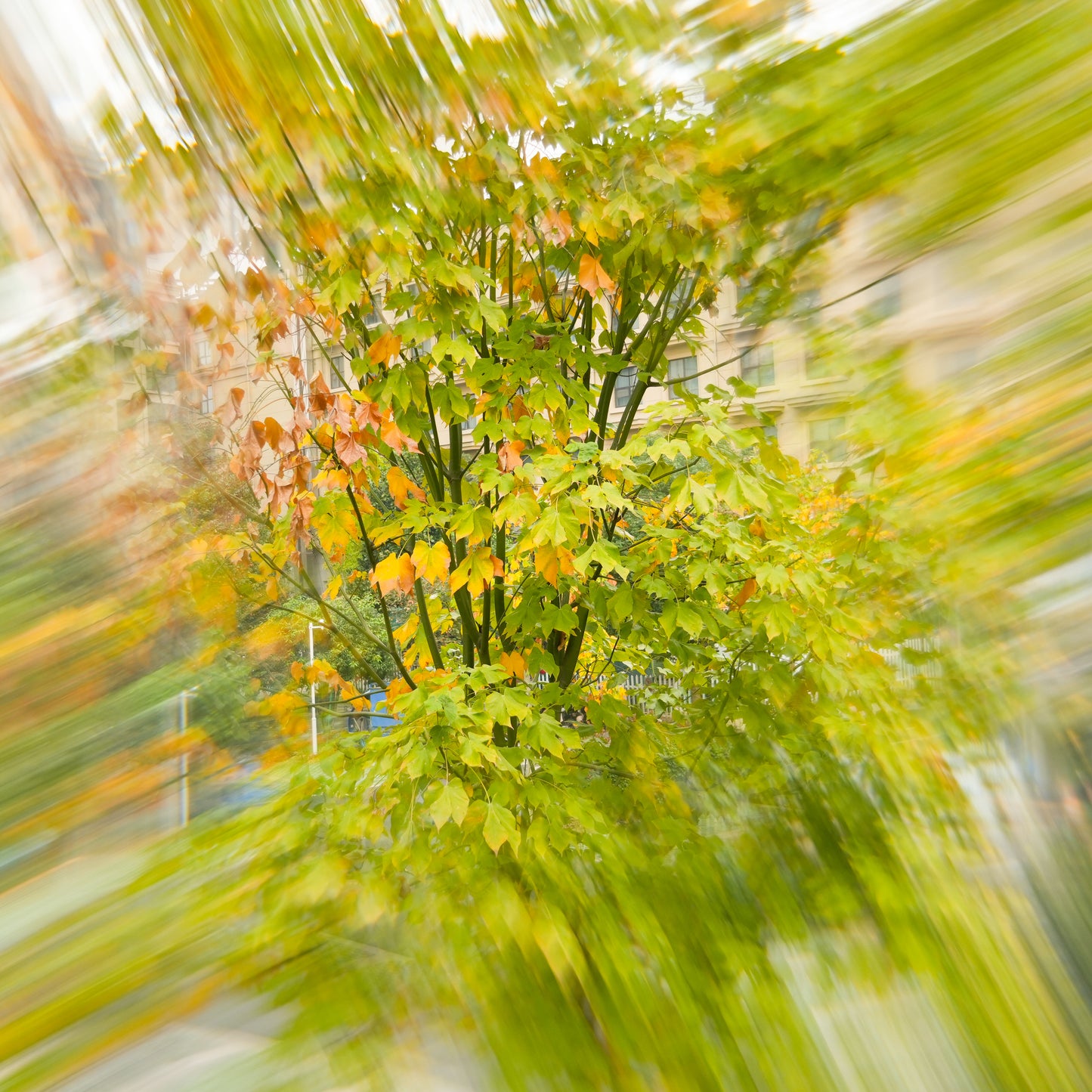 Ghost V4 Motion FX Filter